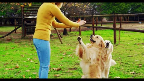 Woman playing with her dogs