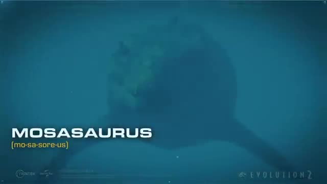 Field Guide Mosasaurus