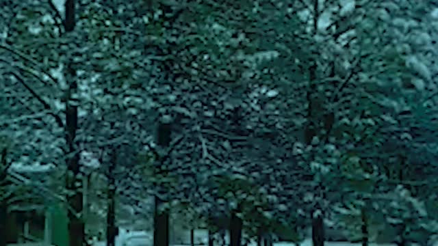 Blizzard in Texas and New Mexico! Freezing snow blocks the roads!