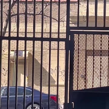 Adamsville, Bronx.. 👀