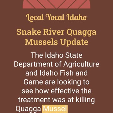 Snake River Quagga Mussels Update
