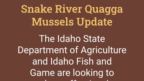 Snake River Quagga Mussels Update