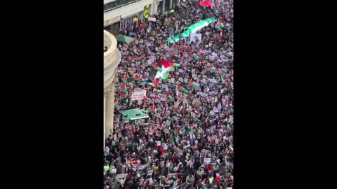 It's Official, London Is An Islamic State