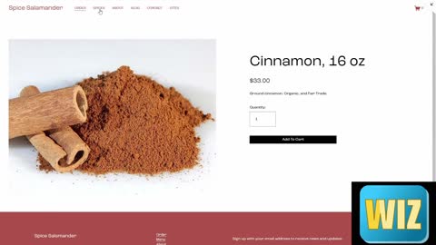 Spice Salamander - Squarespace Demo