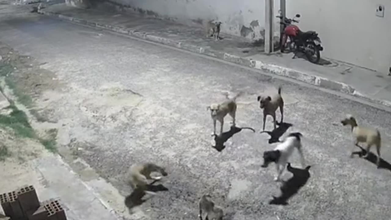 Amezing moment