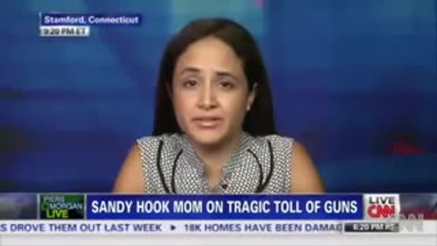 Sandy Hook Hoax-fest (Low) - 2015