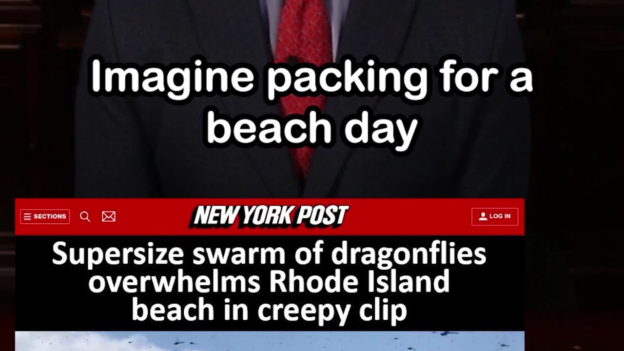 Swarm of Dragonflies Overwhelms Rhode Island Beach