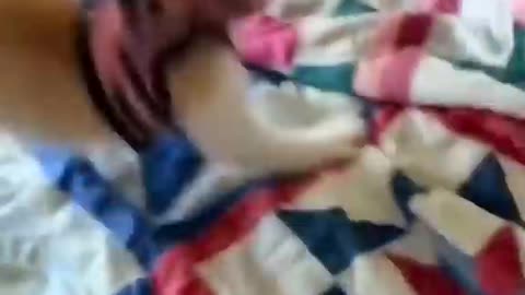 Funny Animal video 😂😂