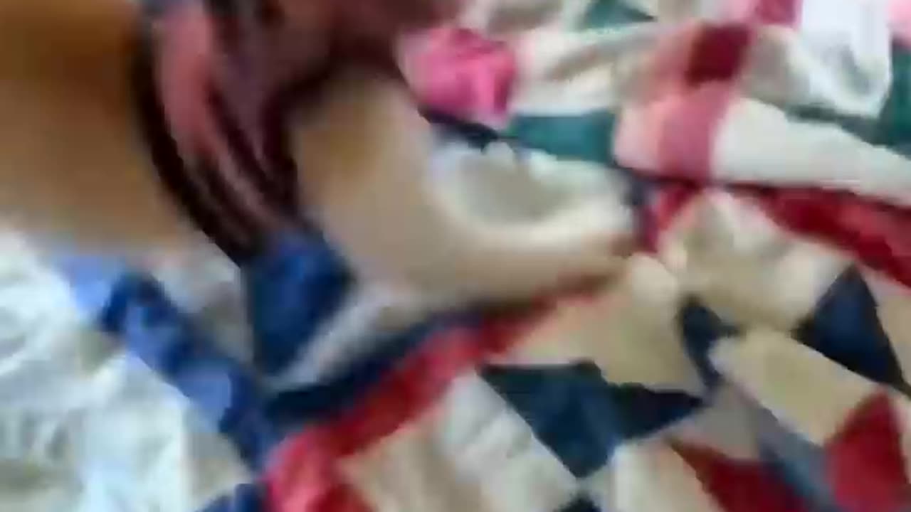 Funny Animal video 😂😂
