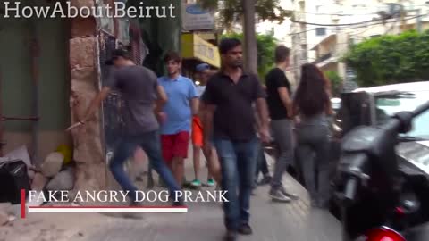 Best of Public Pranks (So Far..)