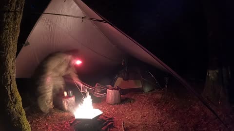 Campfire in a portable firepit. Under a tarp. Riverside camping. Nightlapse