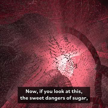 Sugar