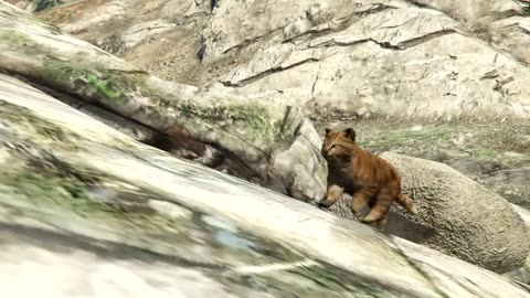 Franklin And Chop’s Road trip in GTA 5 (funny)