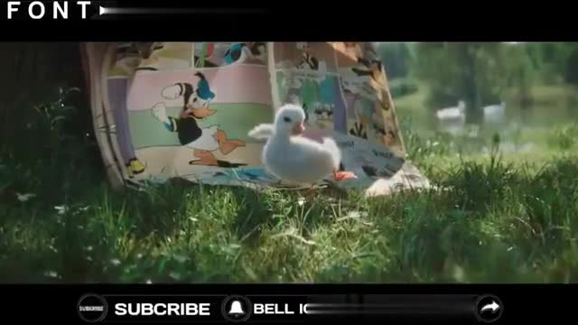 Dil Hai Chhota Sa❤️||Cute Birds WhatsApp status💕||Heart Touching Vira