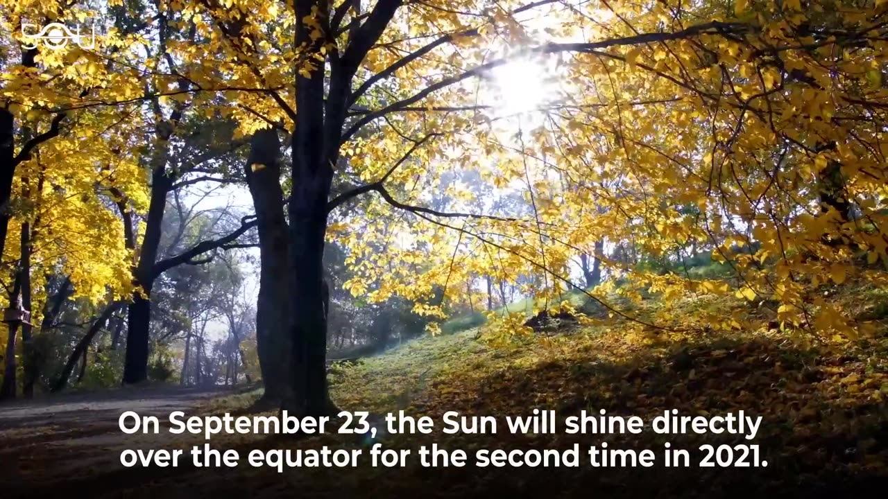 Don't Miss These Astronomy Events In September 2023 | Comet Nishimura | Meteor Shower | Supermoon