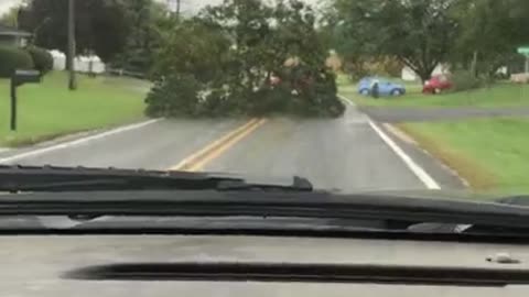 Just a Truck Dragging a Tree Down the Street