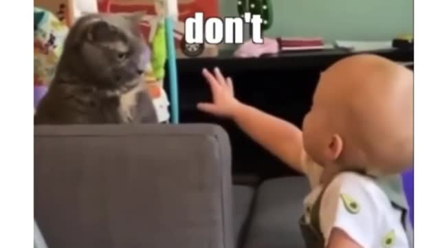 He is innocent