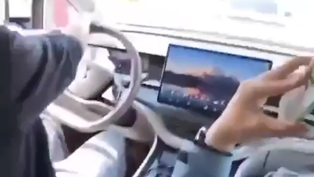 WCGW salesman insisted the client not brake because the autopilot would stop the car in time