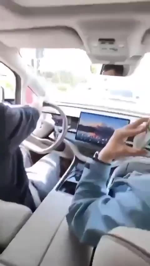 WCGW salesman insisted the client not brake because the autopilot would stop the car in time