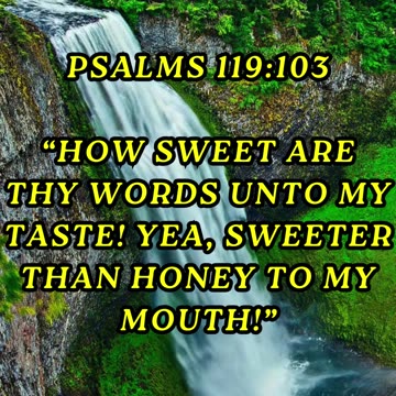How sweet are thy words unto my taste! yea, sweeter than honey to my mouth