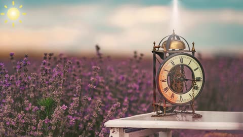 Bossa Nova Music for a Cozy Day - Feel Good 🌸