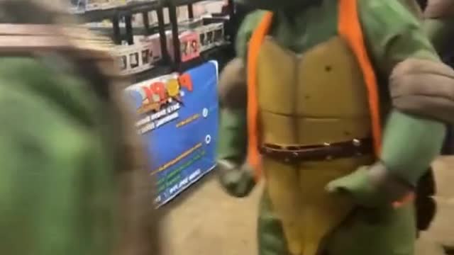 The Teenage Mutant Ninja Turtles are cute
