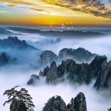 Natural beauty video and nature is fo beautiful