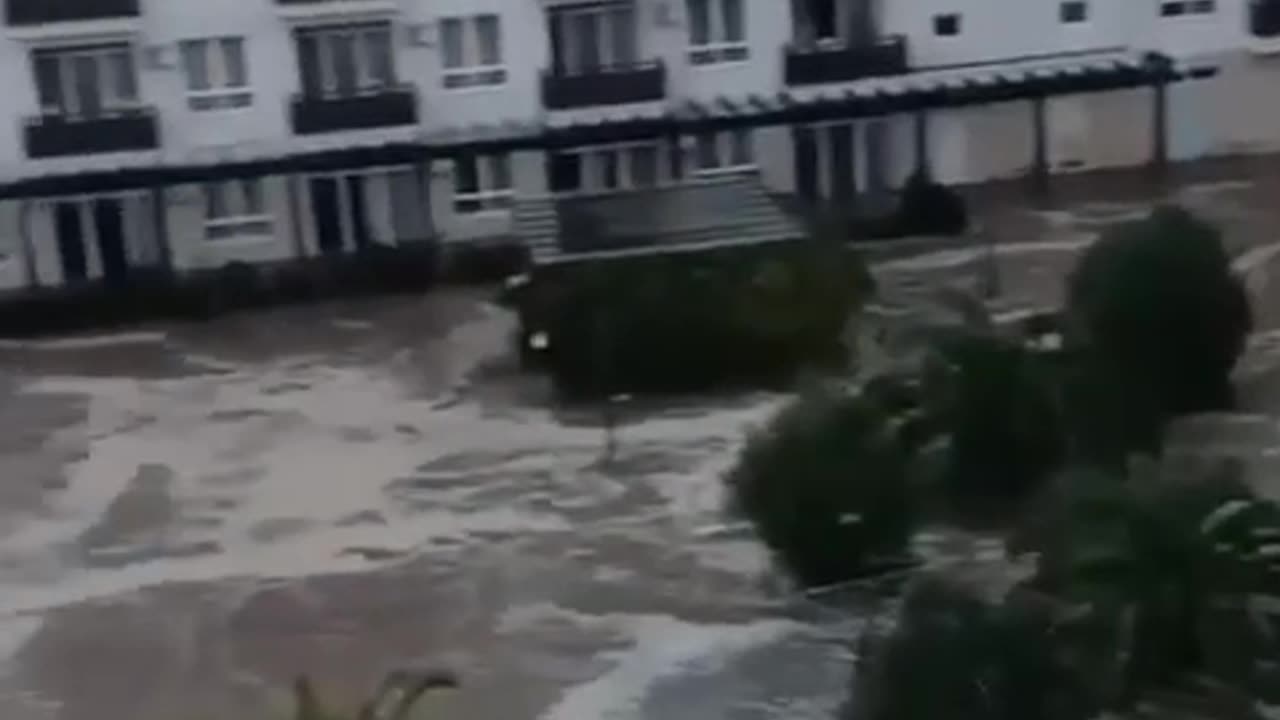 Видео из Сочи, где стихией повалило около 70 деревьев, повреждены остановки и кровля домов