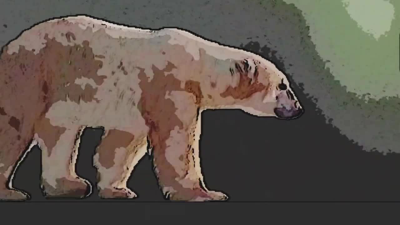 polar bear