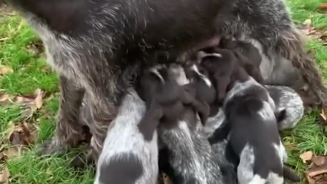 A mothers work is never done.