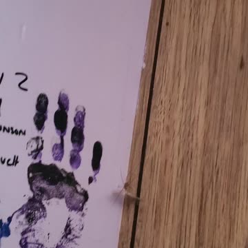 3 spiders in the bedroom