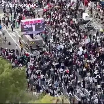 300 000 in Washington support Palestine