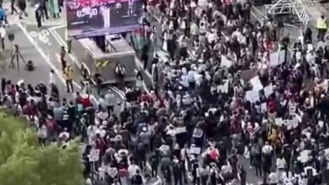 300 000 in Washington support Palestine