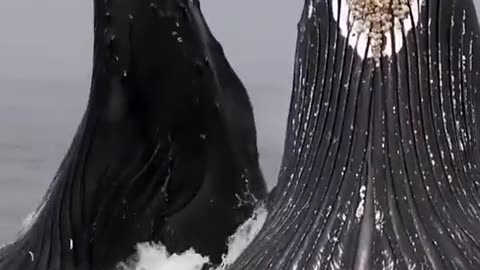Awesome!