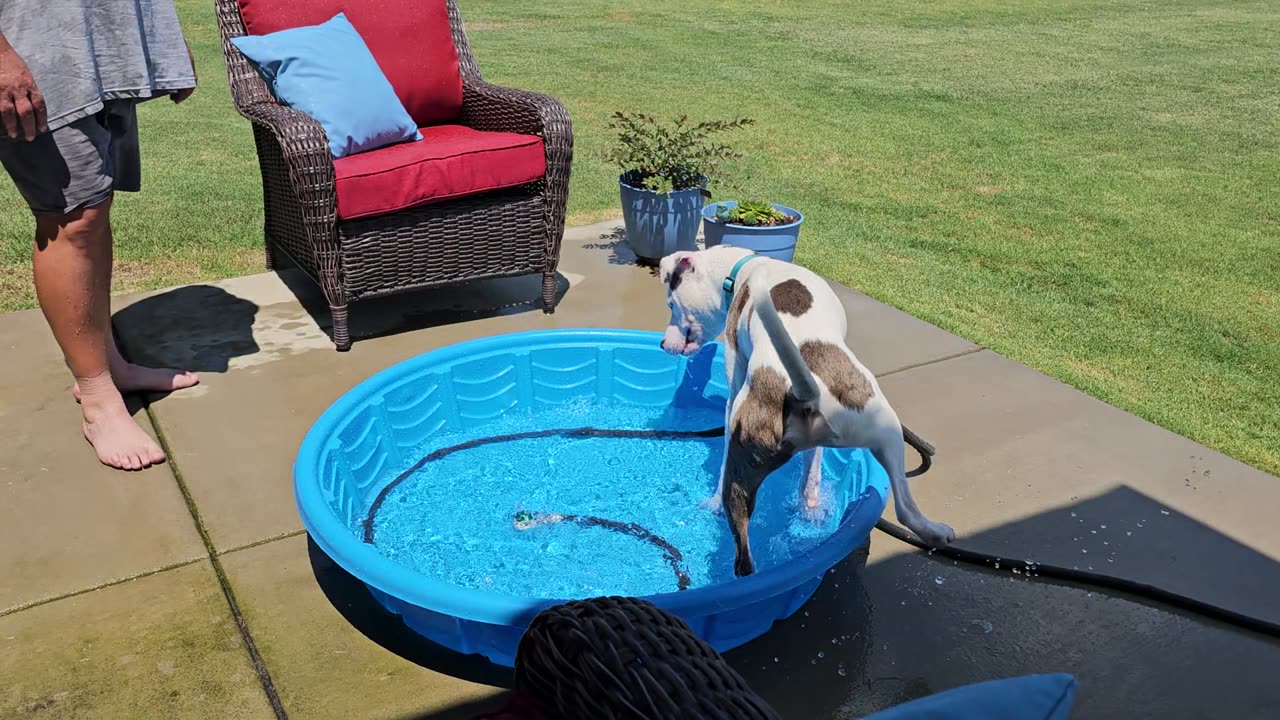 Vincenzo's Pool Part 2