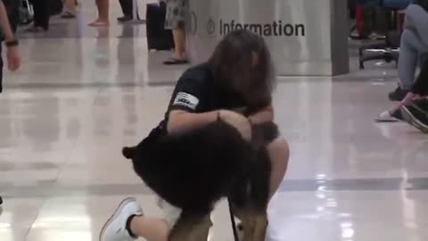 Animals Reunited With Owners After Years