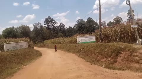 On our way to fetch water in a stream near kipsongo