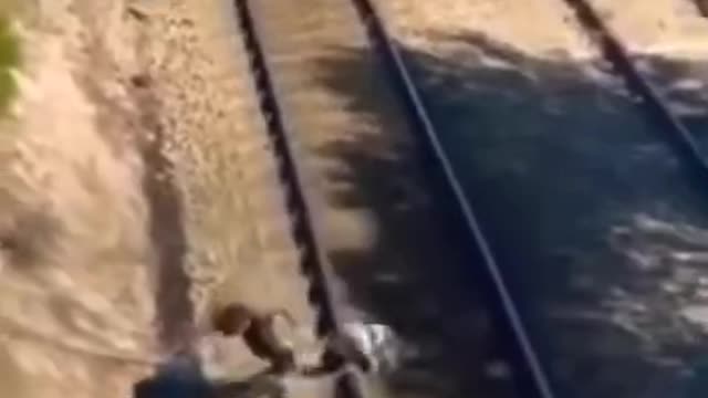 Man Risk Life!! To save Dog Train Track!!