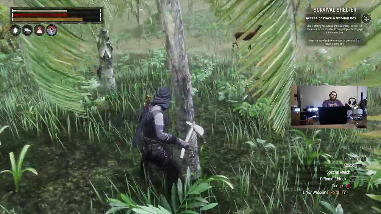 Surviving The Exiled Lands