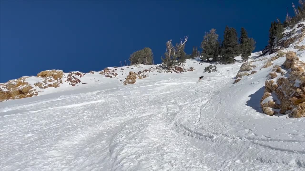 Gad Chutes & Tower 3 - Snowbird, UT