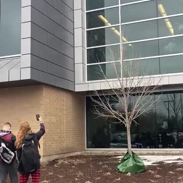 🇺🇸 While Students in Illinois Were Denied Entry for Protesting Unlawful Mask Mandates