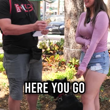 Pronounce These 5 Dog Breeds Win $50