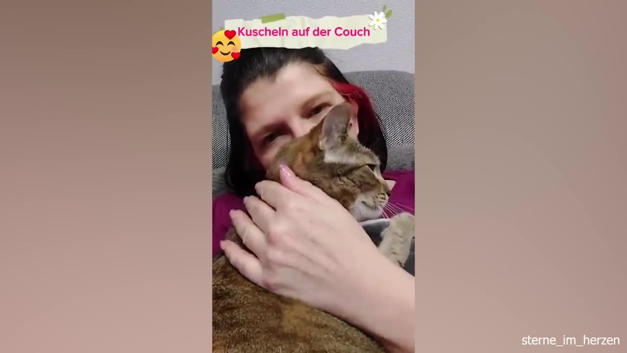 Most cutest and sweetest moments cat sleep on their human ❤️