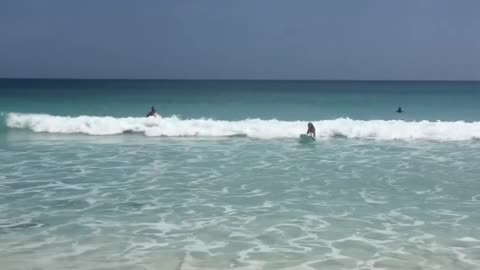 Golden Retriever Balances Themself Over Surfing Board on Wave