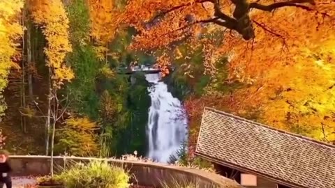 Beautiful world