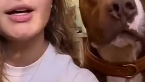 Girls with dog training #Rumble Shorts Video