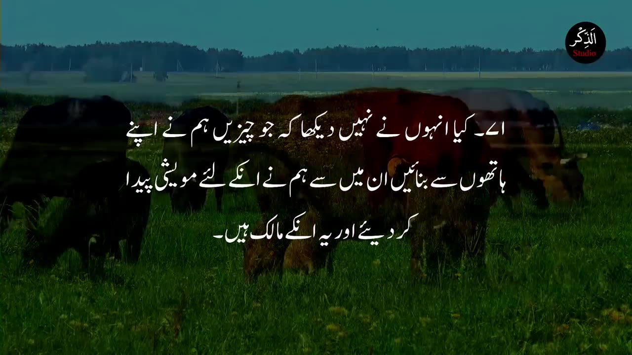 Surah Yasin with Urdu Translation #yaseen #Surah #surahyaseen #Quran #quranwithurdutranslation