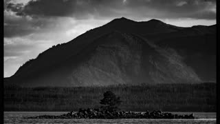 Yellowstone National Park A Monochrome Tour - Adjust to the highest resolution, and enjoy.