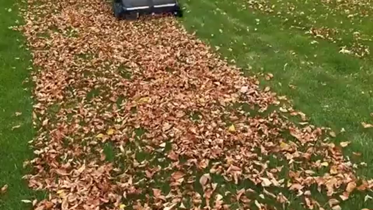 Leaf collector