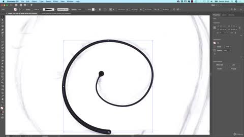 How to draw flowing curves in Adobe Illustrator with the Width Tool